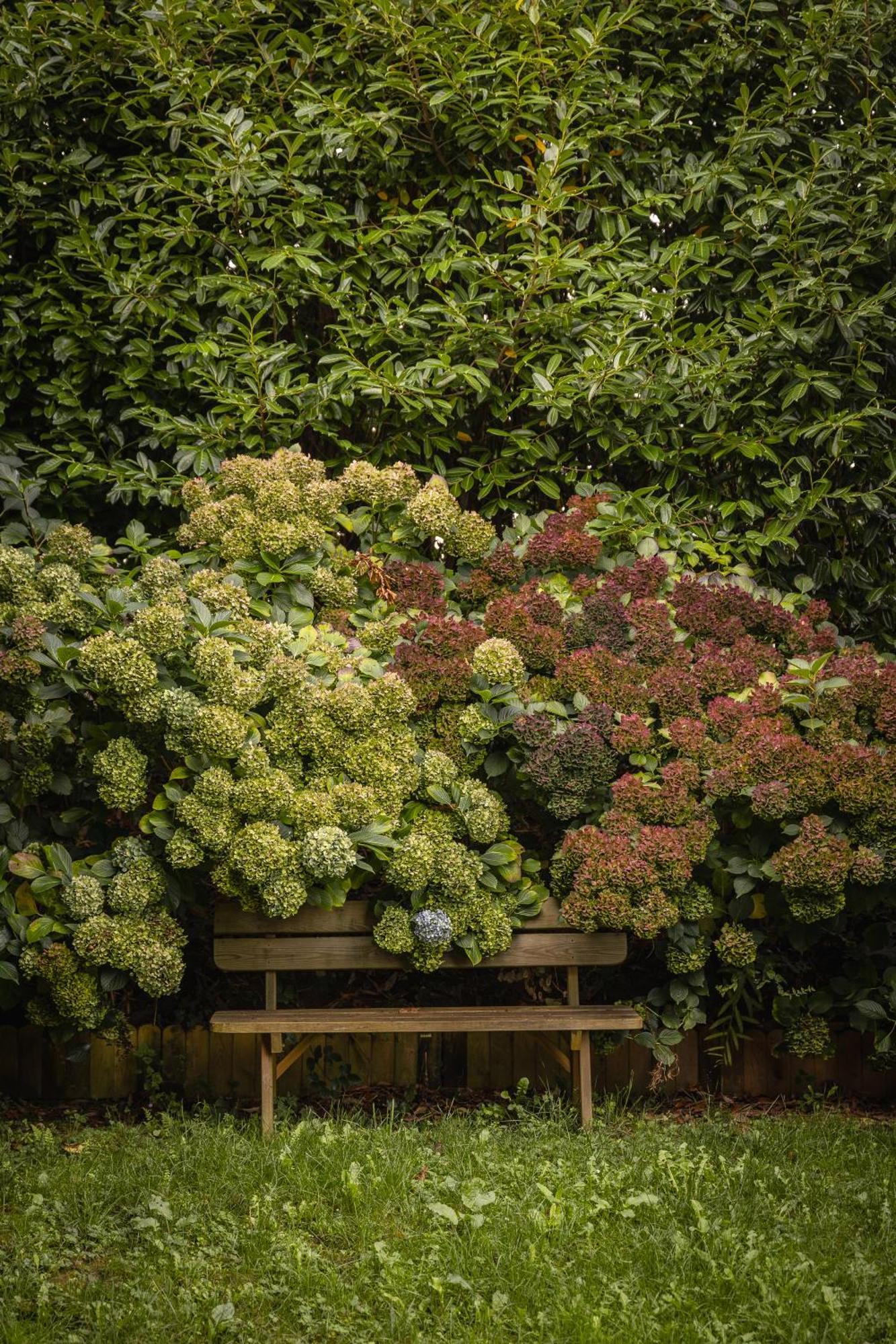 Le Jardin Enchanteur, Chaleureuse Maison D'Hotes Eco-Responsable, Calme Et Accueillante Lopérec 外观 照片